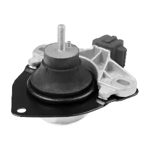 R55204 RAPRO