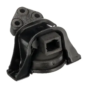 R51836 RAPRO
