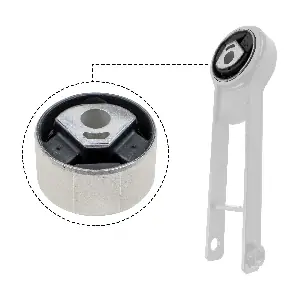R54862 RAPRO