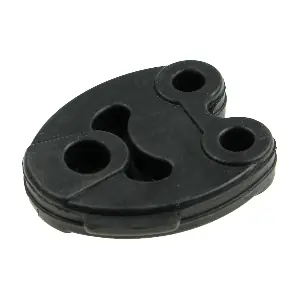 R52381 RAPRO