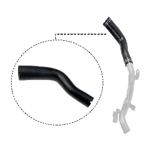 R11599 RAPRO