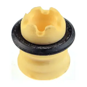 R54375 RAPRO