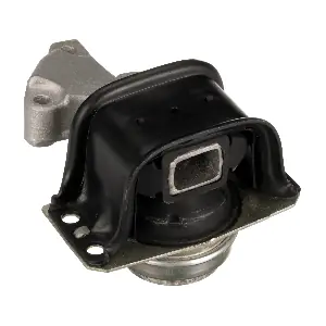 R52137 RAPRO