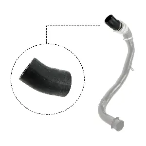 RAPRO R11665