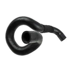 R15556 RAPRO