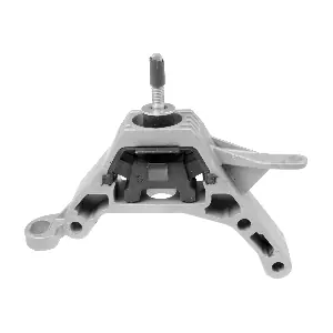 R54666 RAPRO