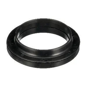 R51069 RAPRO