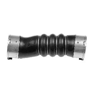 R19066 RAPRO
