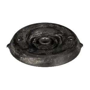 R51668 RAPRO