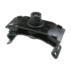 R54617 RAPRO