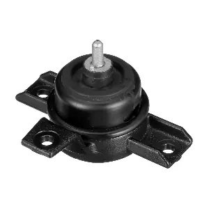 R55631 RAPRO