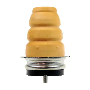 R55168 RAPRO