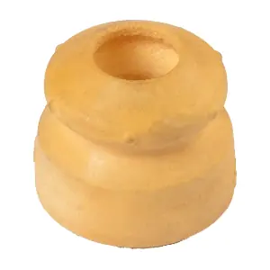 R52294 RAPRO
