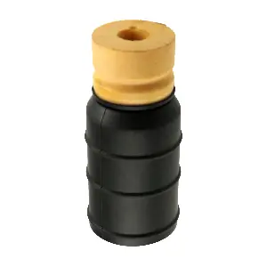 R53169 RAPRO