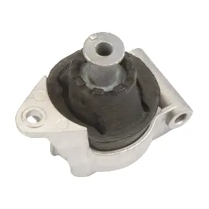 R59081 RAPRO