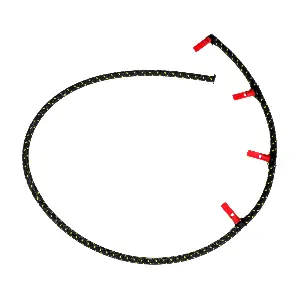 R15577 RAPRO