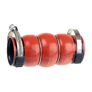 RAPRO R15579