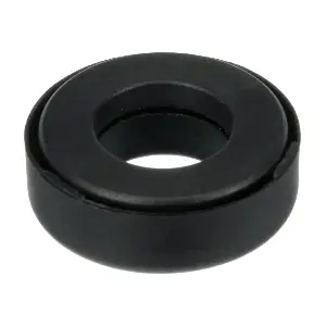 R55411 RAPRO
