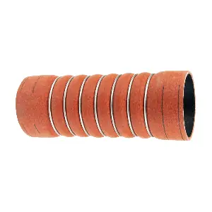 R69231 RAPRO