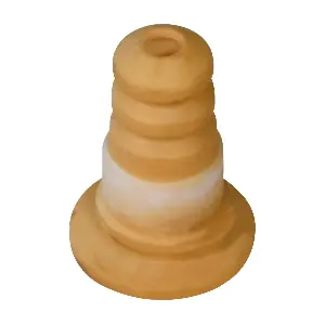 R51059 RAPRO