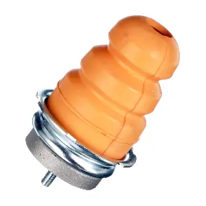 R55169 RAPRO