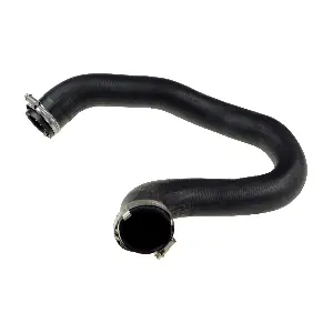 R15636 RAPRO