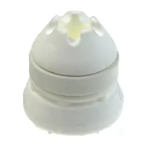 R52677 RAPRO