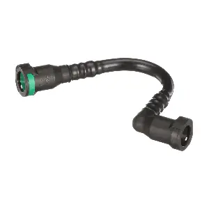 R251184 RAPRO