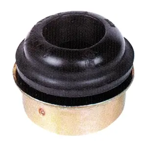 R55239 RAPRO