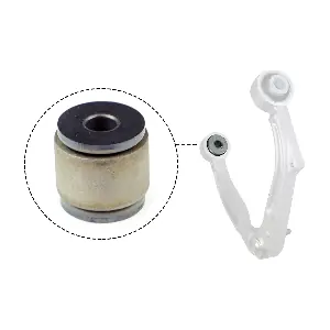 R54419 RAPRO