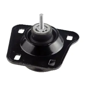 R54168 RAPRO