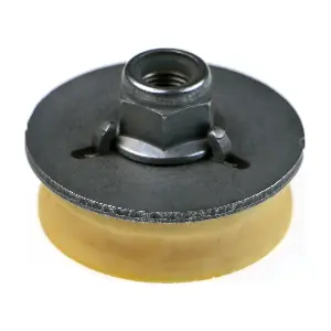 R52684 RAPRO