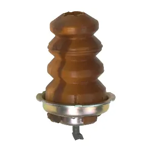 R55246 RAPRO
