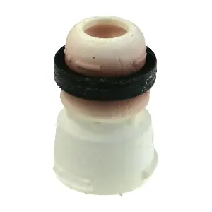 R52673 RAPRO