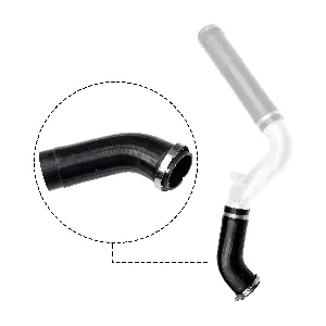 R18565 RAPRO