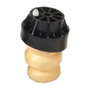 R52291 RAPRO