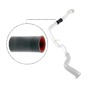 R12736 RAPRO