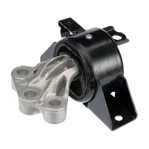 R54962 RAPRO