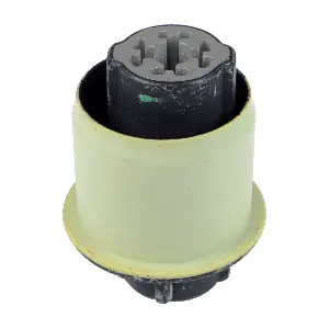 R54453 RAPRO