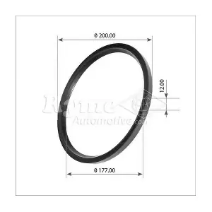 17582 Automotive RYME