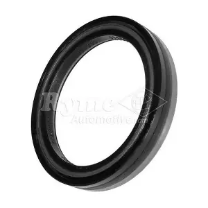 Automotive RYME 17536