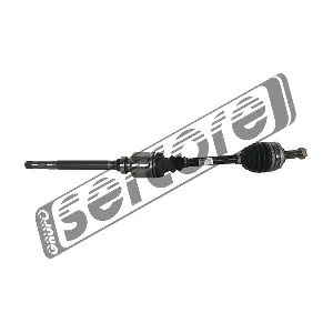 22480 SERCORE