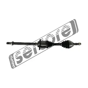 221611 SERCORE