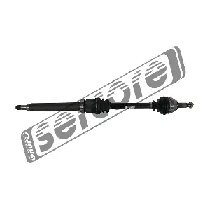 22575 SERCORE