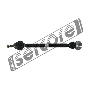 22963 SERCORE
