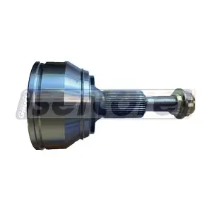 30918 SERCORE