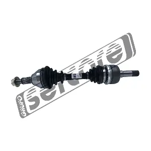 221491 SERCORE