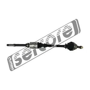 22466 SERCORE