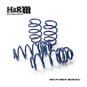 H&R Spezialfedern 29755-1