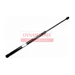 DYNAMATRIX DGS026872